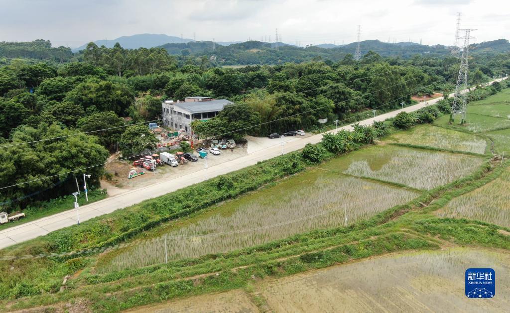 吉祥民粹2019